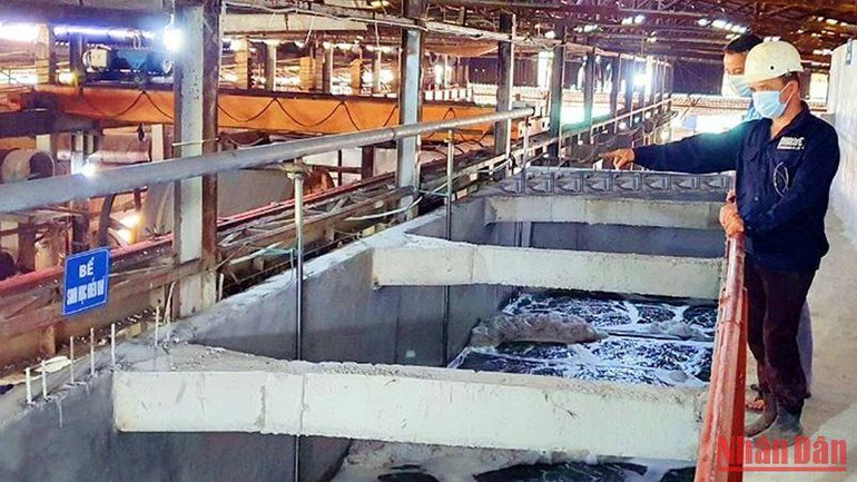 Hệ thống xử lý nước thải tuần hoàn tại một cơ sở sản xuất giấy ở cụm công nghiệp Phú Lâm, huyện Tiên Du (Bắc Ninh).