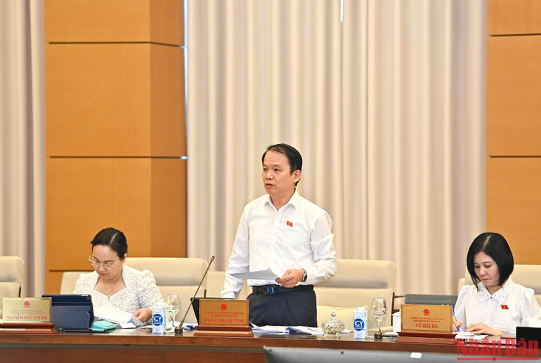 Chủ nhiệm Ủy ban Pháp luật Hoàng Thanh Tùng phát biểu ý kiến tại phiên họp. (Ảnh: Duy Linh)