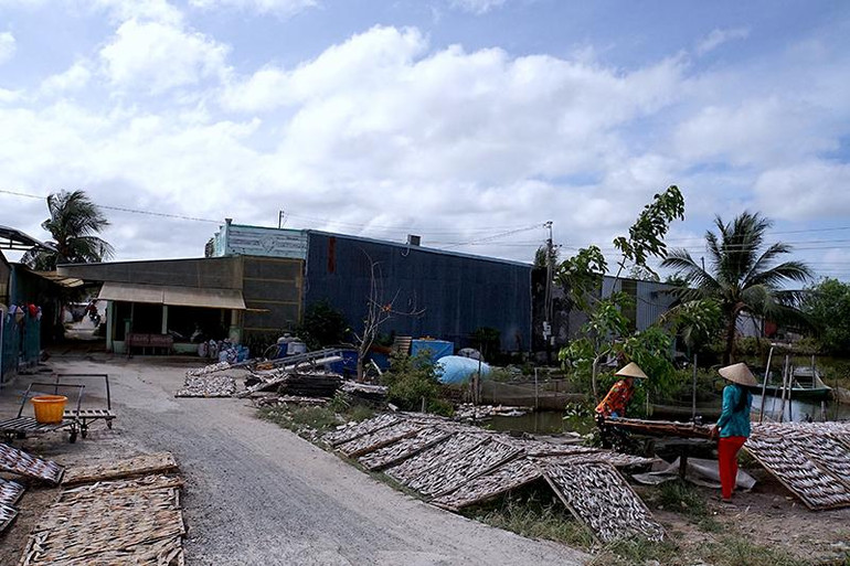 Khu đất của gia đình ông Đặng Hoàng Phú (huyện Trần Văn Thời) cho thuê rồi bị gia đình ông Chiến chiếm dụng hơn 20 năm nay nhưng cơ quan chức năng chưa xử lý dứt điểm.