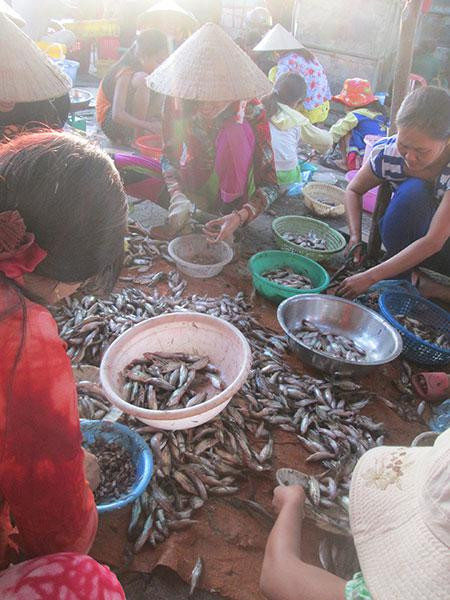 Phụ nữ vùng nông thôn làm công cắt đầu cá.