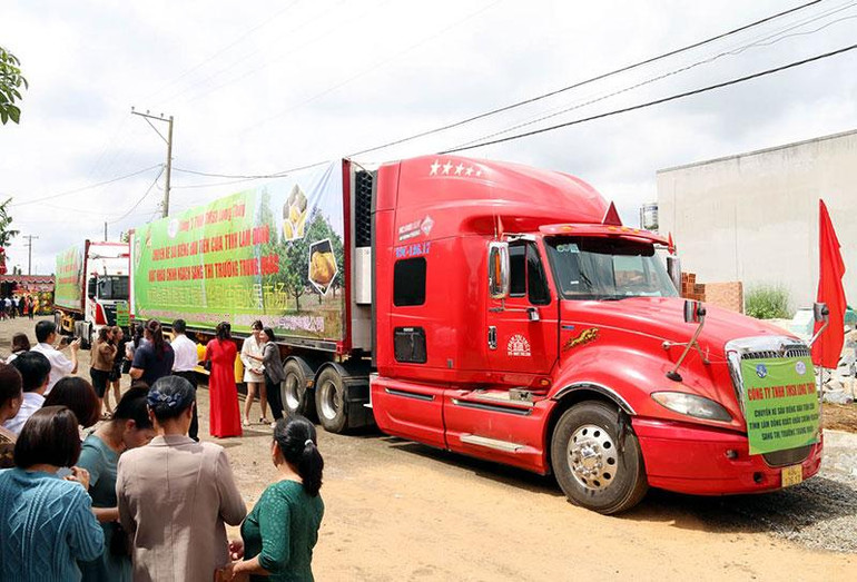 Bốn container với tổng 72 tấn sầu riêng Lâm Đồng lần đầu xuất khẩu chính ngạch sang thị trường Trung Quốc.