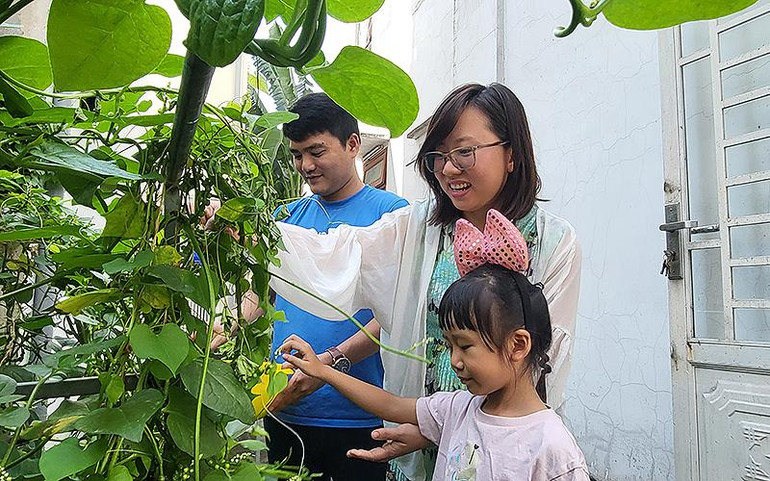 Gia đình anh Nhựt, chị Linh và con gái cùng hái rau trong vườn, chuẩn bị 1 bữa cơm ấm cúng.