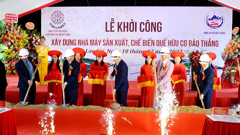 Động thổ xây dựng Nhà máy sản xuất, chế biến quế hữu cơ Bảo Thắng, công suất 10.000 tấn quế tươi và 50.000 lít tinh dầu/năm.