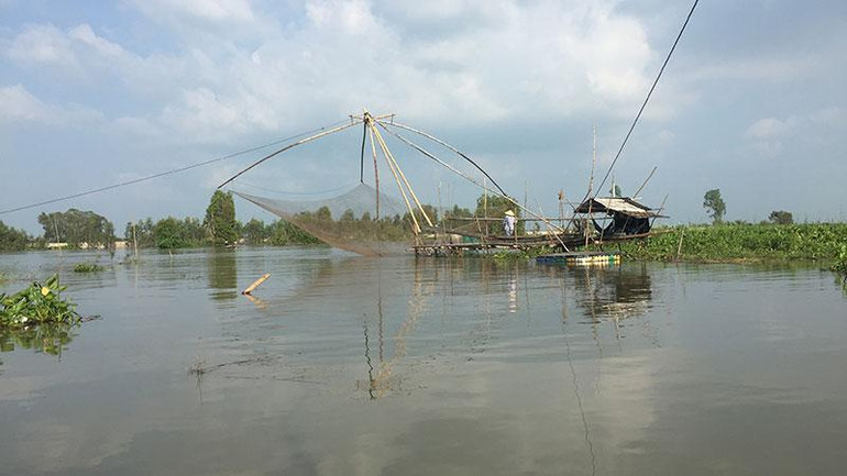 Trong mùa lũ, ngư dân kéo vó cá kiếm được nhiều tiền.