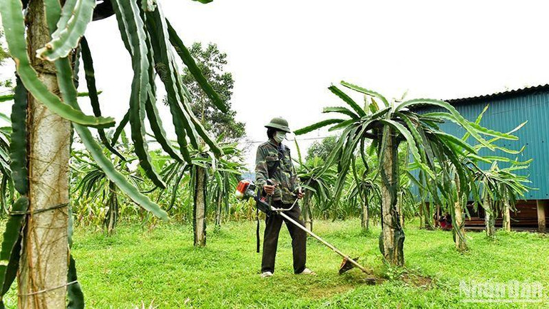 Các mô hình phát triển kinh tế hiệu quả đã góp phần làm thay đổi diện mạo vùng biên.