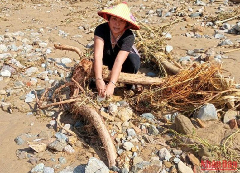 Chị Lô Thị Nhân, chồng mất đầu năm, con đang đi bộ đội ở Sư đoàn 324 Đô Lương. Lũ về trôi cả nhà, còn mỗi cái nền.