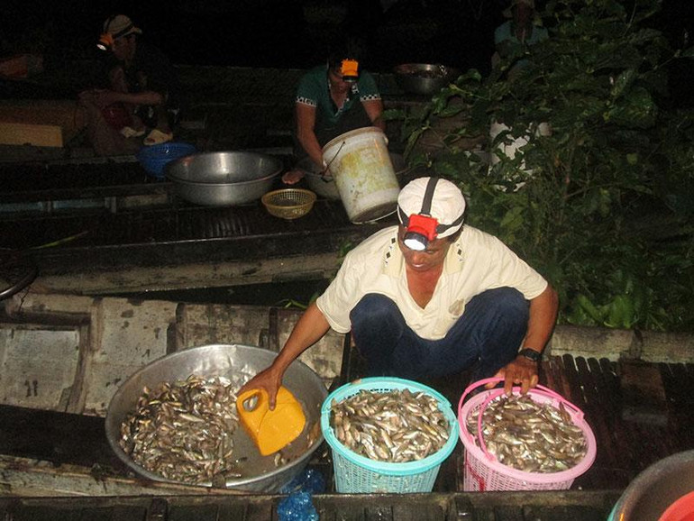 Ngư dân sau một đêm đánh bắt được nhiều cá tôm.