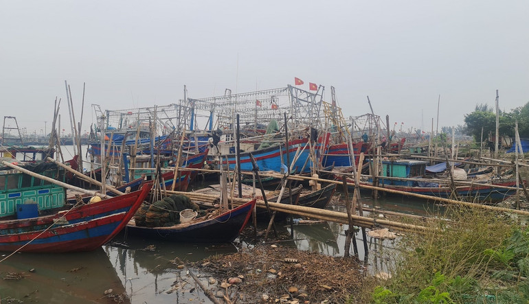 Tàu thuyền vào nơi tránh trú an toàn ven biển huyện Nghĩa Hưng (Nam Định).