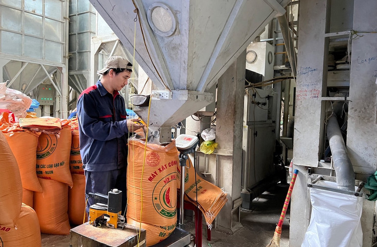 Chế biến sản phẩm lúa gạo OCOP ở xã Nghĩa Tân, huyện Nghĩa Hưng (Nam Định).