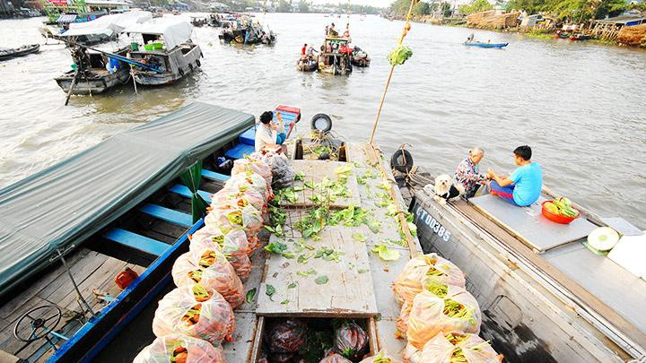 Ảnh: LÊ HOÀNG VŨ