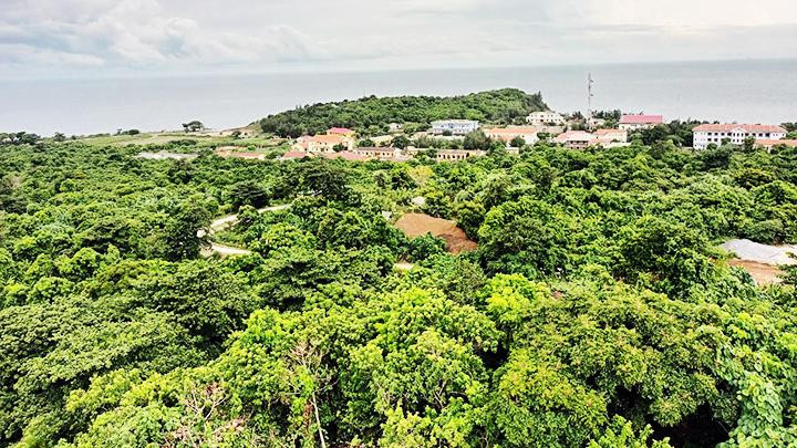 Môi trường tự nhiên ở đảo Cồn Cỏ được giữ gìn tốt.