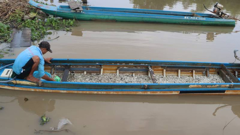 Đánh bắt thủy sản trên kênh Vĩnh Tế. Đánh bắt thủy sản trên kênh Vĩnh Tế.