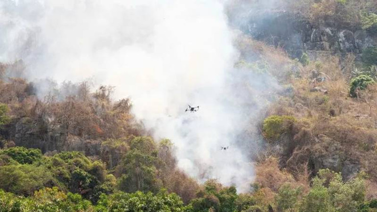 Cháy trên núi Tô đã tạm thời được khống chế
