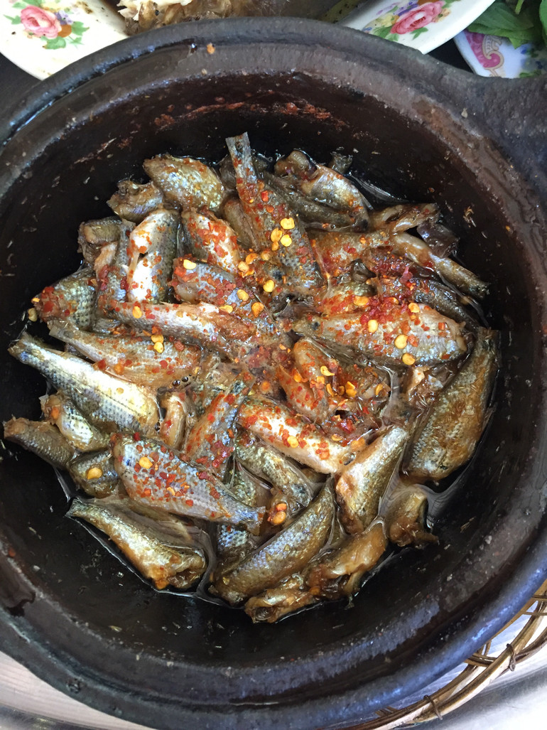 Cá linh chế biến món nào cũng ngon.