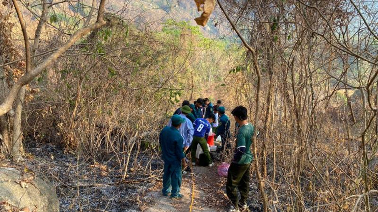 Đám cháy trên núi Tô đã được khống chế hoàn toàn.