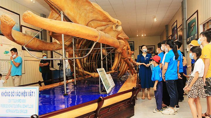 Bộ xương cá voi ở Viện Hải dương học Nha Trang.