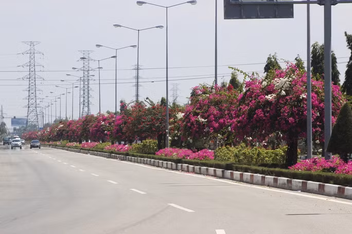 Đường Võ Nguyên Giáp trồng nhiều hoa đẹp.