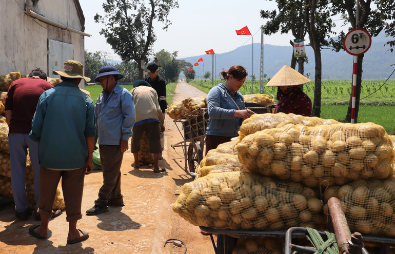 Thu nhập bình quân đầu người của huyện Diễn Châu năm 2010 đạt 15,5 triệu đồng/năm; năm 2022 đạt 60 triệu đồng; năm 2023 đạt 65 triệu đồng/năm.