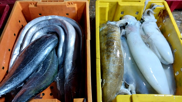 Cửa Lò được đánh giá là một trong những địa phương có hải sản tươi ngon, chất lượng. Đi chợ cá cũng là một trong những trải nghiệm thú vị, cũng là lý do mà nhiều khách ưu tiên lựa chọn Cửa Lò khi đi du lịch biển.