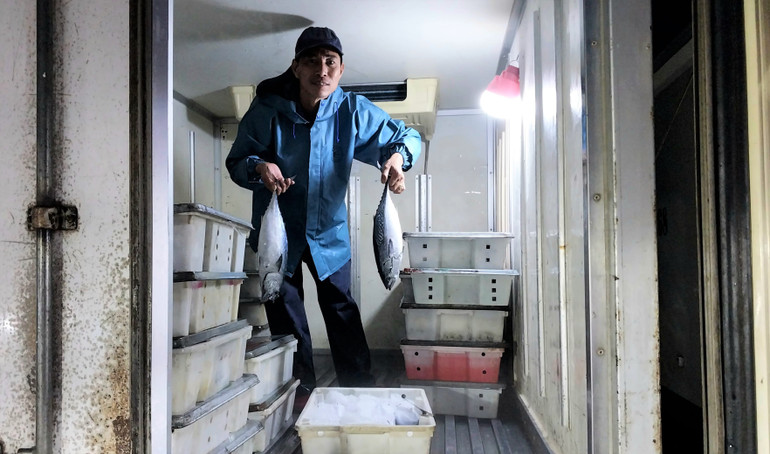 Từ đây, hải sản được vận chuyển đến các địa phương khác, đáp ứng nhu cầu thực phẩm cho người dân ở các thành thị, nông thôn và cả vùng núi cao.