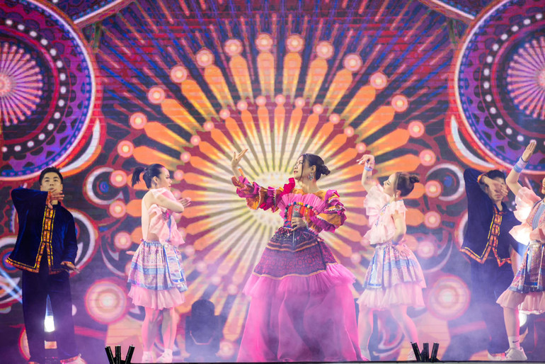 Ca sĩ Hoàng Thùy Linh trong một chương trình biểu diễn gần đây tại tỉnh Hà Nam. Nguồn: Facebook nhân vật