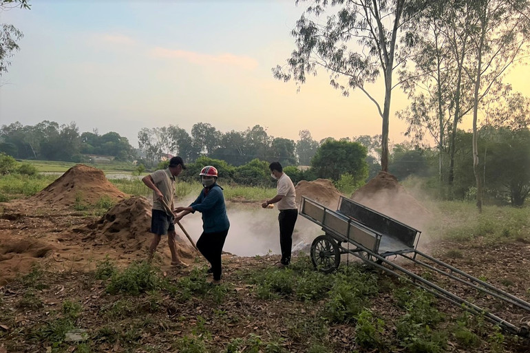 Tiêu hủy lợn mắc bệnh trên địa bàn thành phố Vinh theo phương pháp chôn lấp.
