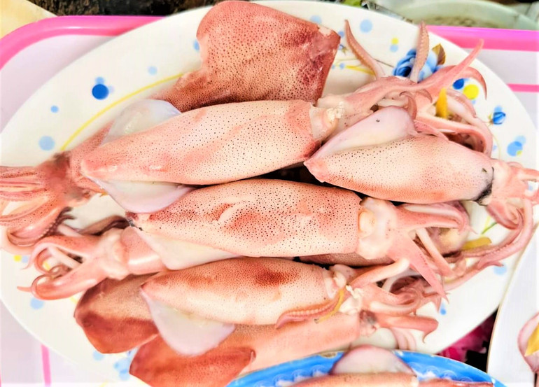 Phố biển Cửa Lò nổi tiếng với hải sản tươi ngon, đặc biệt là món mực nháy do chính ngư dân câu được ở vùng biển địa phương.