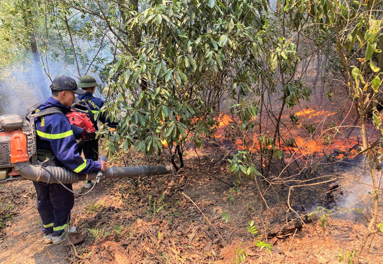 Các lực lượng nỗ lực để hạn chế ngọn lửa lan sang khu vực khác.
