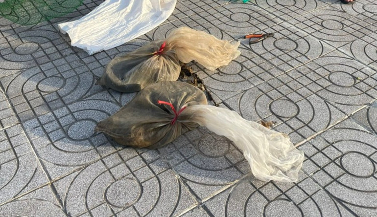 Số tang vật được lực lượng chức năng thu giữ. Số tang vật được lực lượng chức năng thu giữ.