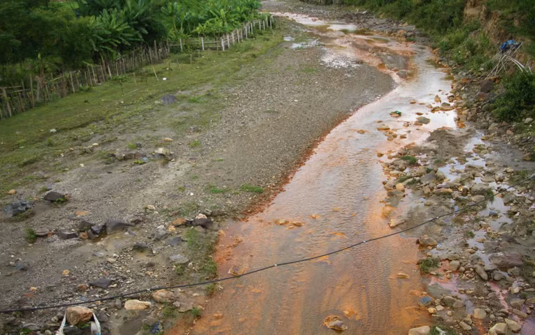 Nước suối Nậm Huống bất ngờ đổi màu và cá chết dạt vào ven bờ được phát hiện từ trưa 1/7.