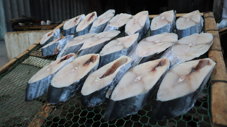 Cá thu Cửa Lò thơm ngon bởi bảo đảm độ tươi, cá được chính ngư dân nơi đây đánh bắt được.