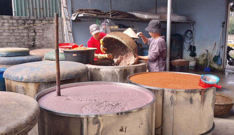 Mắm tôm được chế biến từ nguyên liệu là con ruốc biển tươi của chính ngư dân thị xã Cửa Lò đi đánh bắt về. Khi muối, nắng càng to thì sản phẩm mắm càng thơm, màu tươi đẹp.