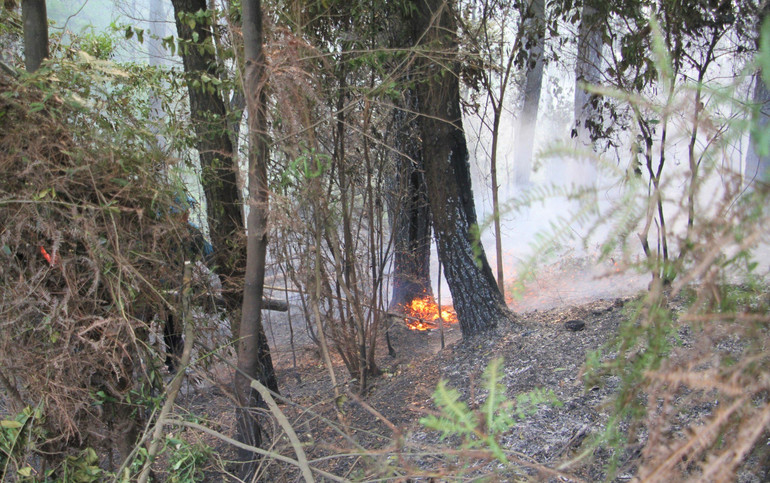 Hiện trường cháy rừng khu vực xã Nam Thái (huyện Nam Đàn) sáng 1/5.