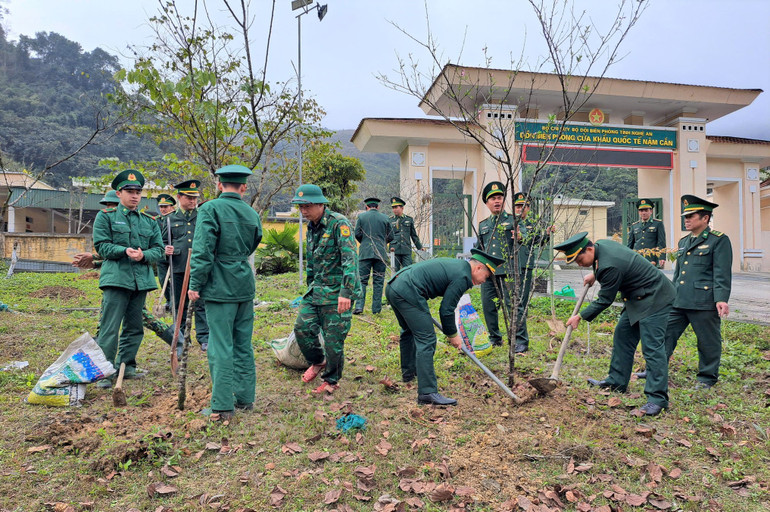 Phong trào trồng cây, trồng và bảo vệ rừng góp phần nâng cao độ che phủ, phát huy tác dụng phòng hộ, cải thiện môi trường sinh thái…