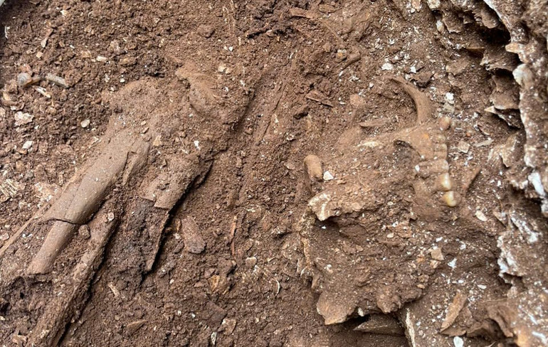 Nhiều di cốt được phát hiện tại đợt khai quật lần này. (Ảnh: BÁ TRÀ)