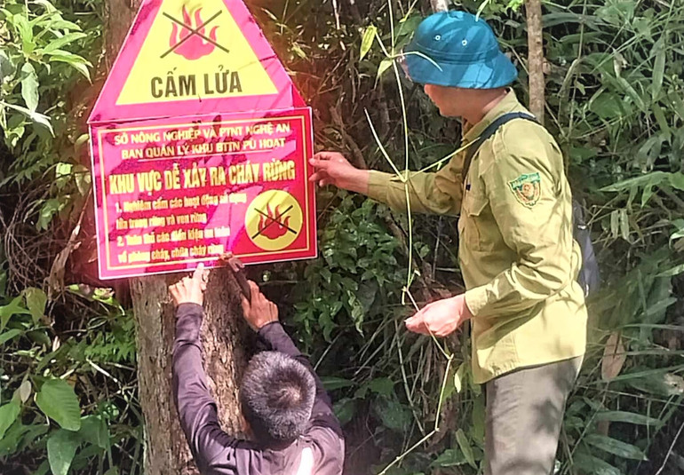 Gắn biển cấm lửa, cảnh báo khu vực dễ xảy ra cháy rừng ở Khu Bảo tồn thiên nhiên Pù Hoạt, huyện Quế Phong.