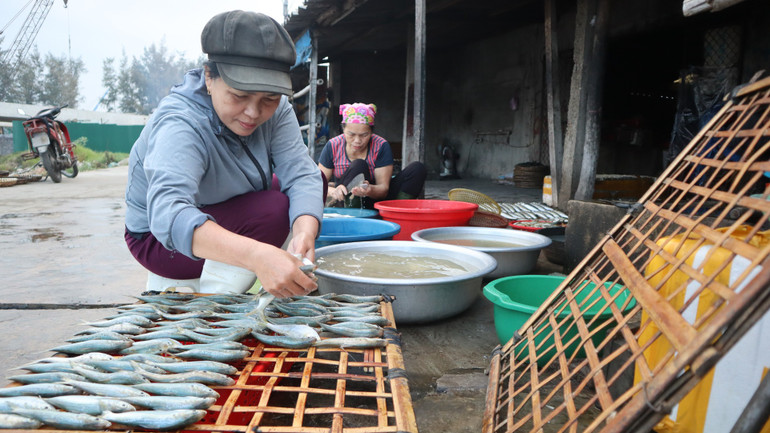 Những con cá trích, cá nục, cá bạc má… được rửa sạch, sau đó xếp ngay ngắn để ráo nước.