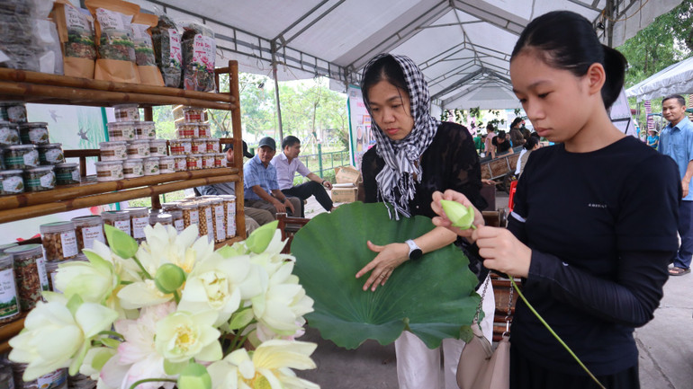 Những bình sen xuất hiện, tạo điểm nhấn cho Phiên chợ quê ở xã Kim Liên, chào mừng Lễ hội Làng Sen năm 2025.