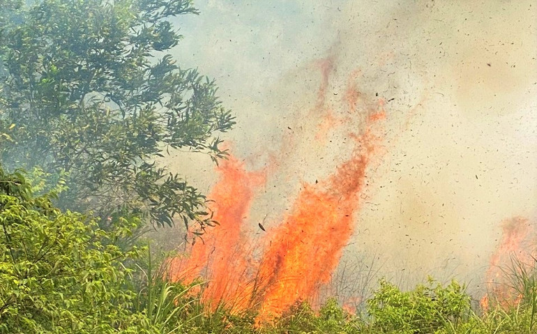 Gió phơn tây nam thổi mạnh khiến công tác chữa cháy gặp nhiều khó khăn.
