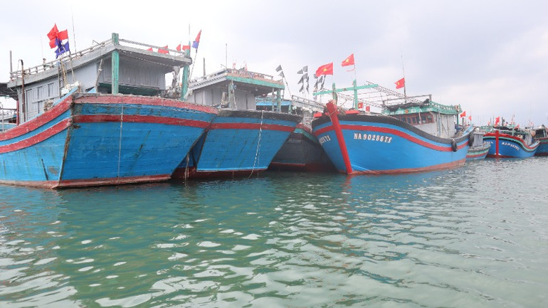 Nghệ An hiện có 3.462 tàu cá, với hơn 11 nghìn lao động trực tiếp tham gia đánh bắt hải sản trên biển.