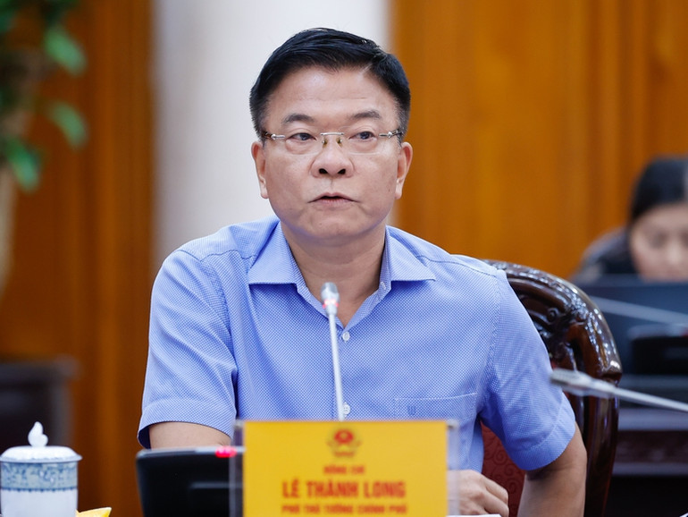 Phó Thủ tướng Lê Thành Long phát biểu ý kiến tại phiên họp.