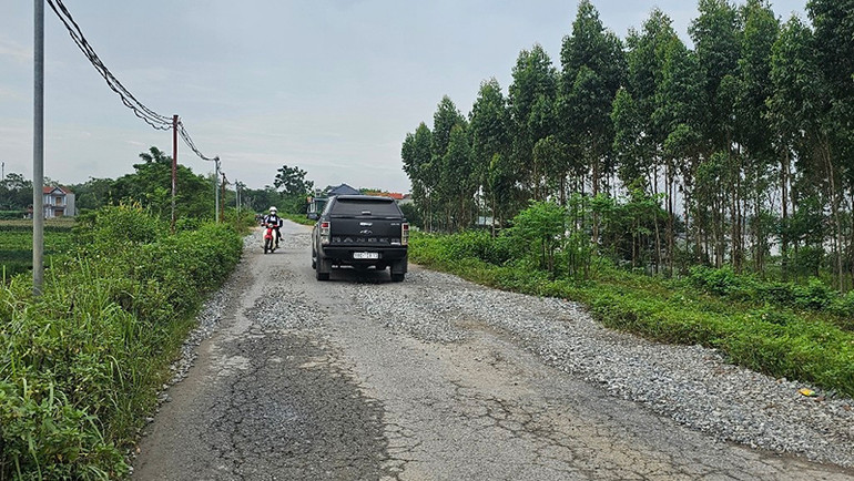 Đường đê tả Sông Lô chật hẹp, một số điểm xuống cấp.