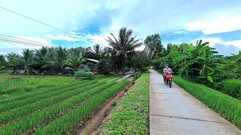 Vùng quê xã Trần Hợi (huyện Trần Văn Thời, tỉnh Cà Mau) khang trang, sạch hơn nhờ sự tương trợ, góp công, góp sức tương trợ nhau của hội viên phụ nữ.