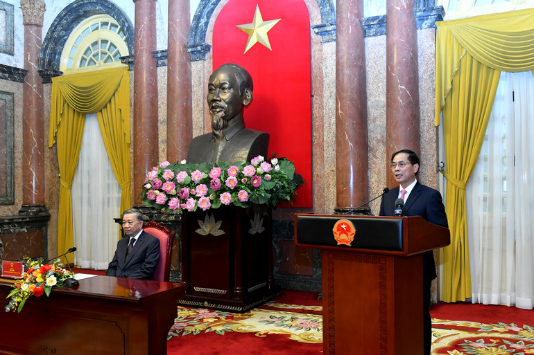 Bộ trưởng Ngoại giao Bùi Thanh Sơn phát biểu tại buổi tiếp. (Ảnh: ĐĂNG KHOA)