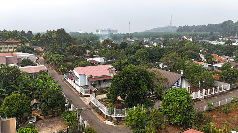 Đô thị Long Khánh đang có tỷ lệ che phủ cây xanh đạt 71%.