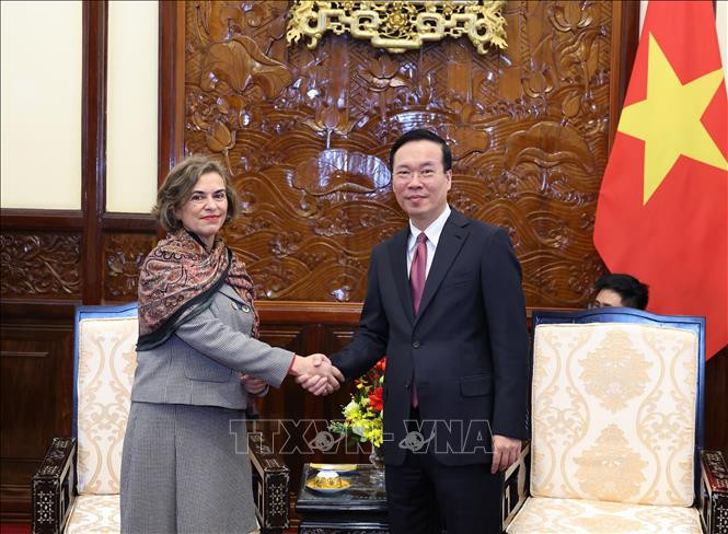 Chủ tịch nước Võ Văn Thưởng tiếp Đại sứ Tây Ban Nha Carmen Cano De Lasala. (Ảnh: TTXVN)