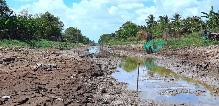 Kênh, rạch vùng ngọt huyện Trần Văn Thời (tỉnh Cà Mau) kiệt quệ, khô cạn nước ngọt vì nắng hạn khốc liệt.