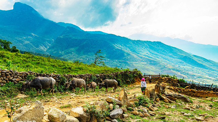 Điểm xuất phát chinh phục Pavie. Điểm xuất phát chinh phục Pavie.