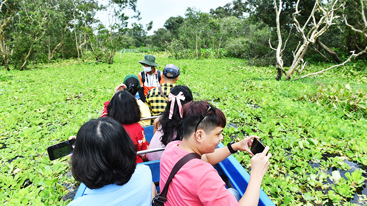 Thích thú với những thảm bèo.