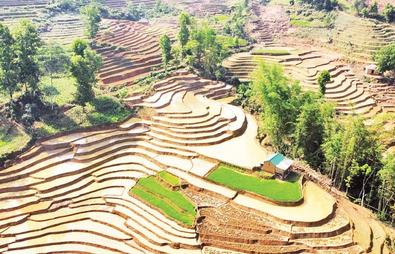 Ruộng bậc thang Y Tý mùa nước đổ hiện lên như những đường vân tay khổng lồ của đất trời. Ruộng bậc thang Y Tý mùa nước đổ hiện lên như những đường vân tay khổng lồ của đất trời.